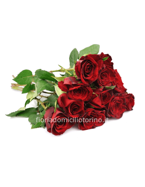 Rose rosse di prima scelta a stelo corto (h 40cm)