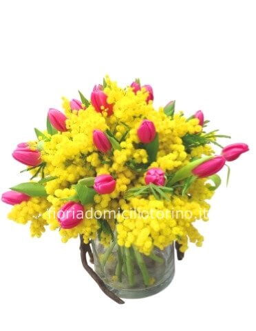 Bouquet piccolo di tulipani di colore misto e mimosa.