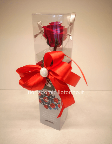 Rosa rossa stabilizzata in confezione regalo