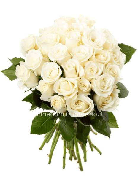 Mazzo di rose bianche