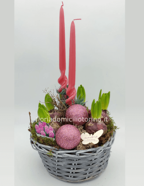 Composizione Natalizia in cesto con giacinto.