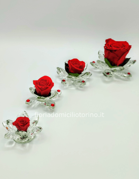 Ninfea di cristallo con rosa rossa stabilizzata MISURA MEDIA