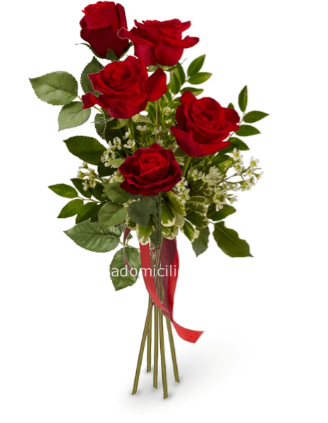Bouquet di rose rosse stelo lungo confezionato.