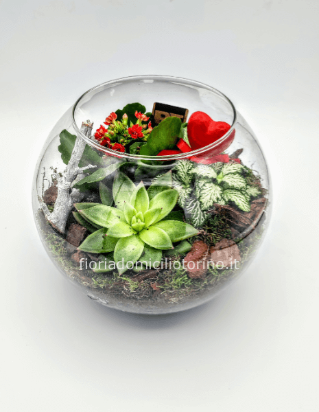 Boule con piante grasse  e decorazioni