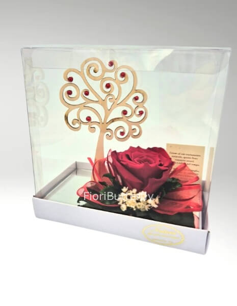 Rosa rossa stabilizzata con albero della vita